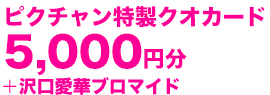 ピクチャン特製クオカード5000円分 + 沢口愛華ブロマイド