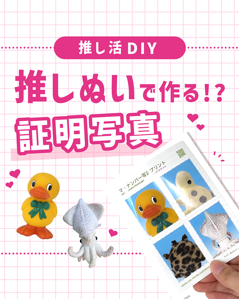推しぬいで作る!? 証明写真