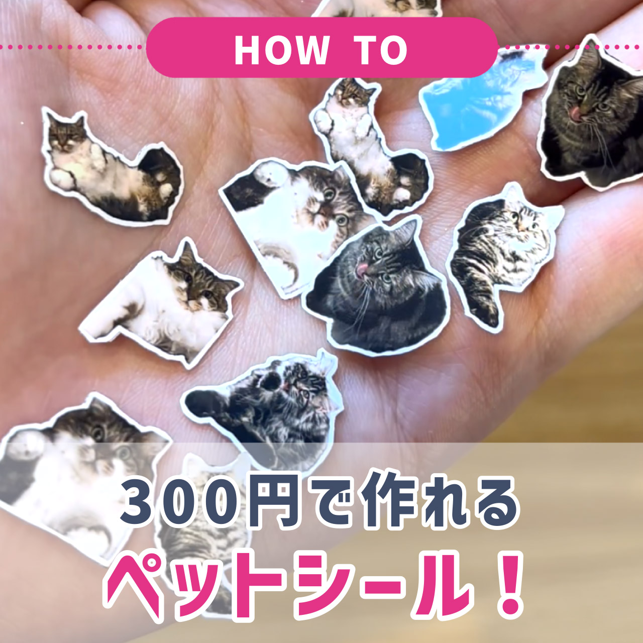 スマホだけで簡単！ペットシールの作り方